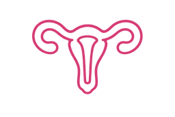 Gynecological Laparoscopic Surgeries